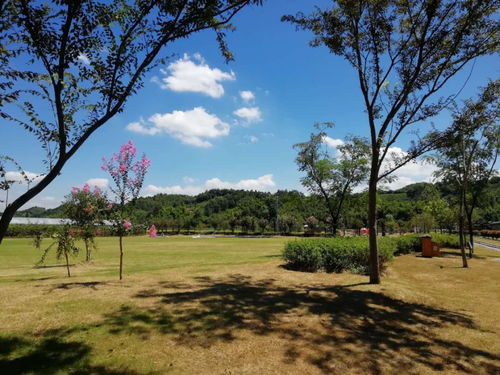 宜春市乡村旅游暨民宿培训班圆满在浙江湖州结束