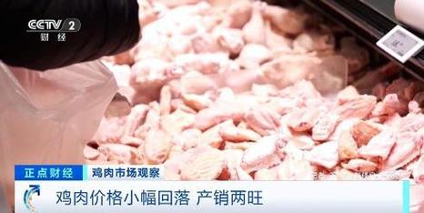 鸡肉价格小幅回落 超市纷纷打折促销|山东|肉鸡|禽肉|农产品|养殖户